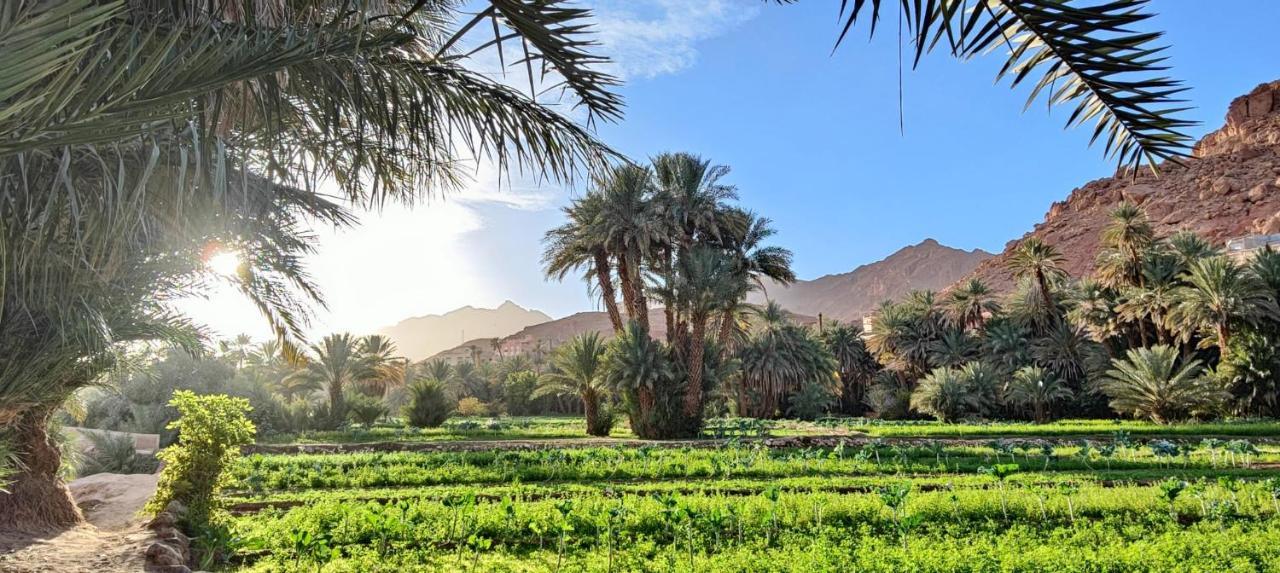 Guesthouse Panorama Todra تنغير المظهر الخارجي الصورة