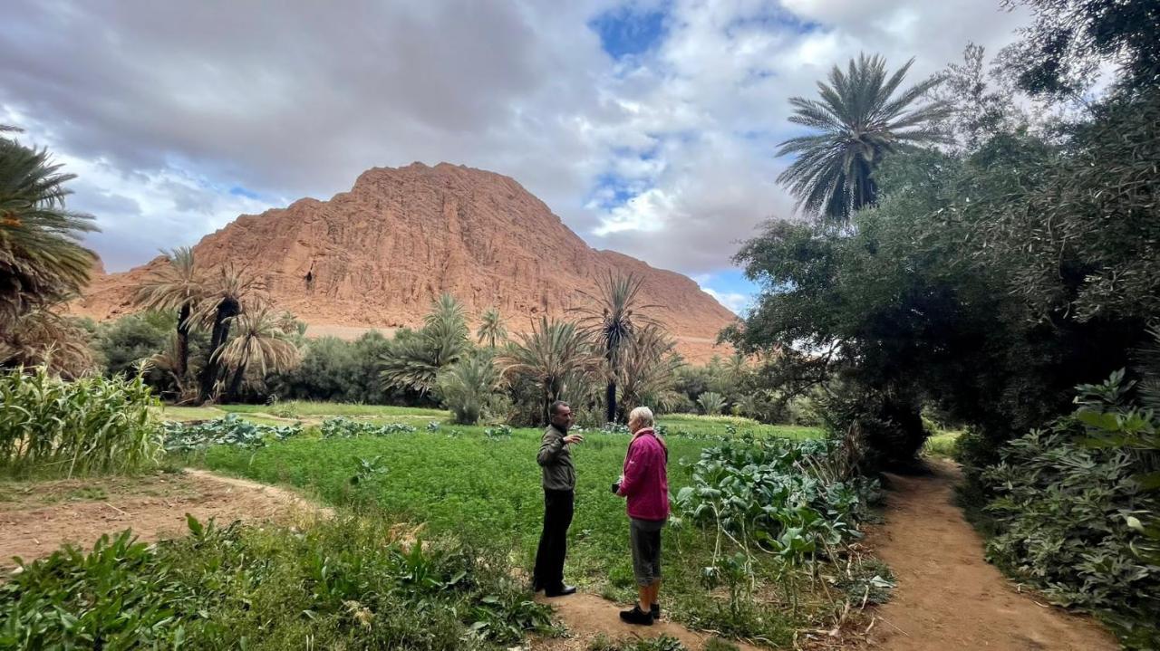 Guesthouse Panorama Todra تنغير المظهر الخارجي الصورة